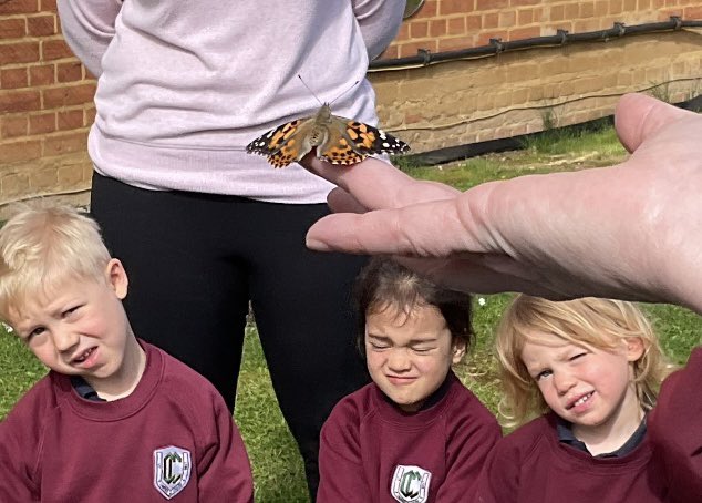 ClairesCourt_EY's tweet photo. We have waited patiently for our caterpillars to emerge from their chrysalises. Six perfect butterflies flew off to start their new life and the children watched them go. #CCNursery #CCDiscovery #CCOutdoorLearning https://t.co/fGbDQcEnlq