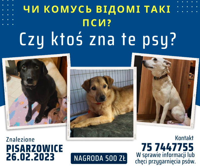 Czarna Lista Pro tweet media