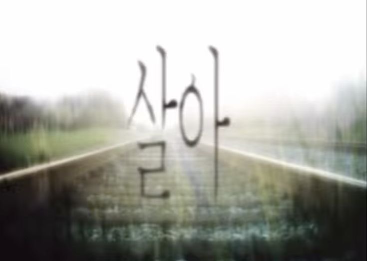 Lee 물.com.kr tweet media