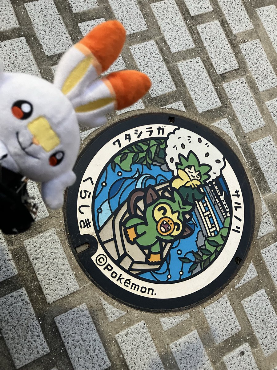 🐰シャム🌞✨ tweet media