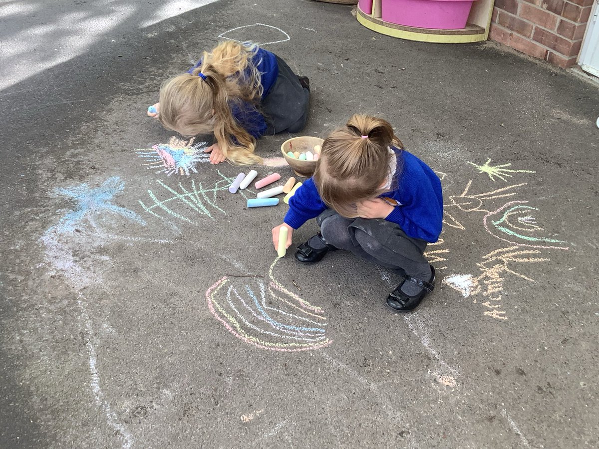 Hedgehogs-SAFontmell-Rec tweet media