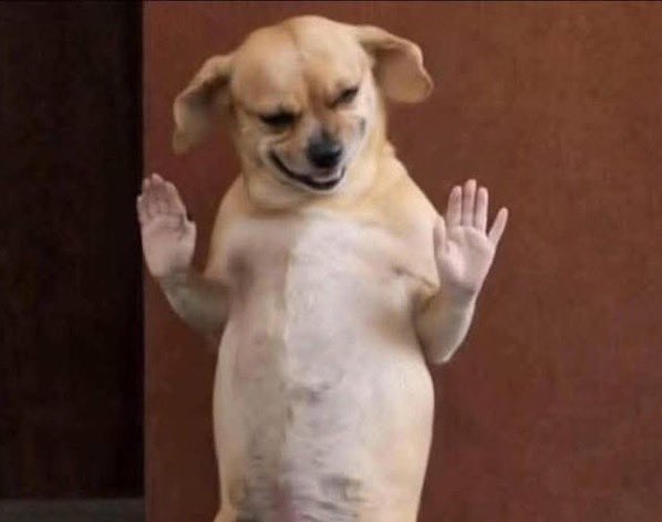 Tõluwäni tweet media