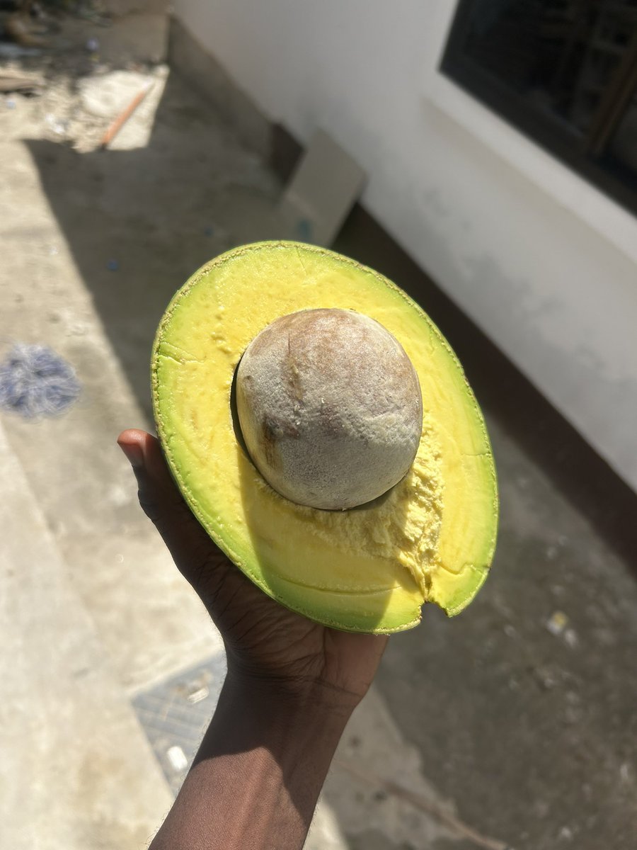 John kalage 🇹🇿 tweet media