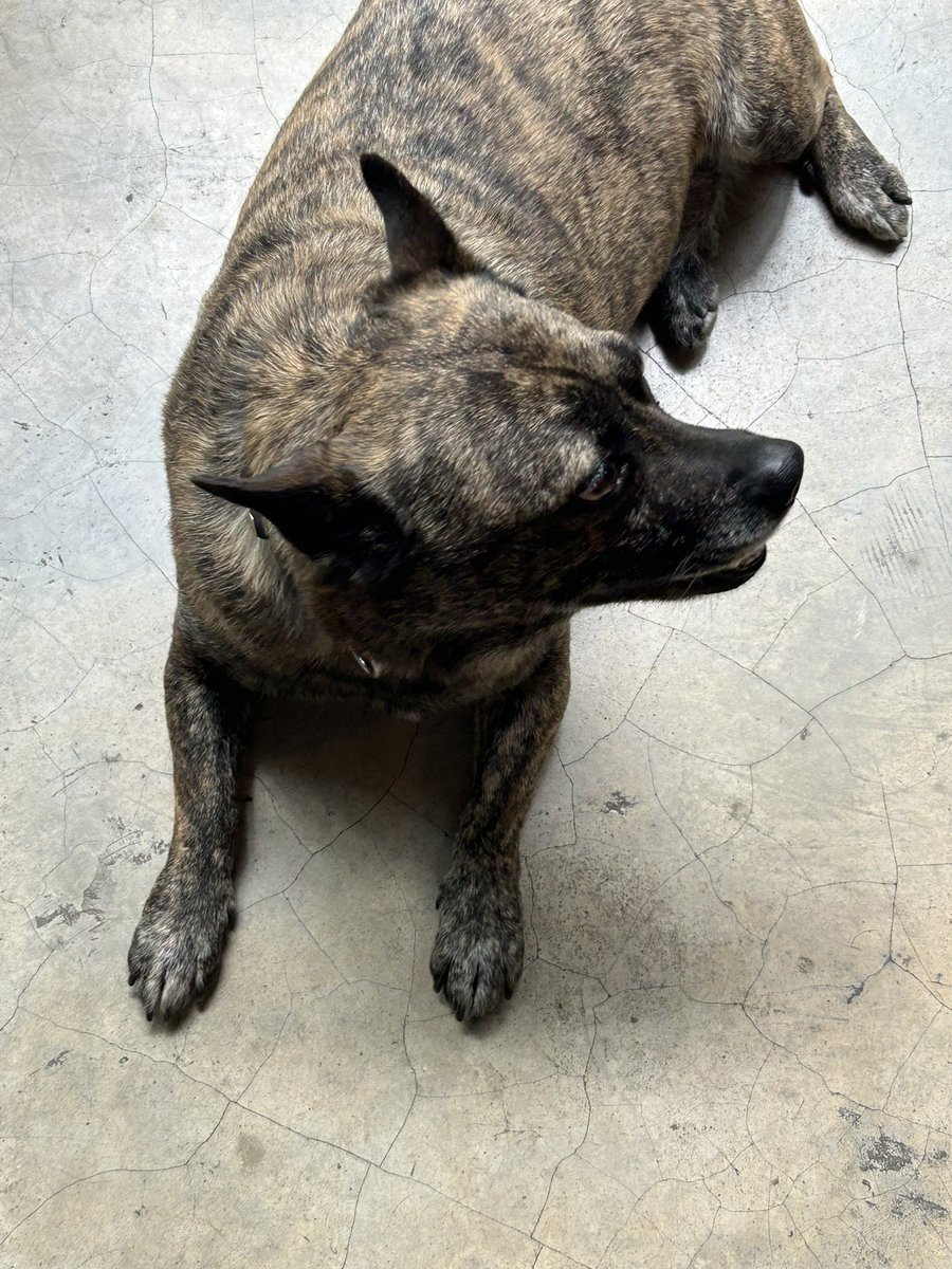 请多喝水 tweet media