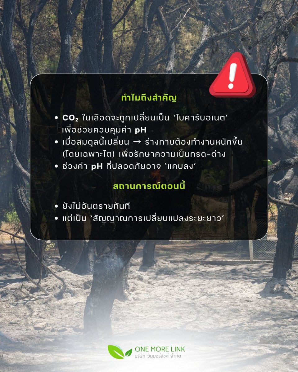 onemorelink's tweet image. เตือนภัย! CO₂ ในอากาศสูงขึ้น เคมีในเลือดมนุษย์เริ่มเปลี่ยนตาม! ⚠️🌡️

#ClimateChange #HealthAlert #OneMoreLink #สิ่งแวดล้อม #กากอุตสาหกรรม #บริการรับกําจัดกากอุตสาหกรรม #บริษัทกำจัดกากอุตสาหกรรม
