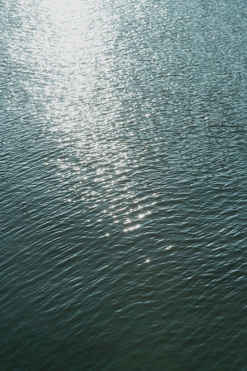 アキモト tweet media