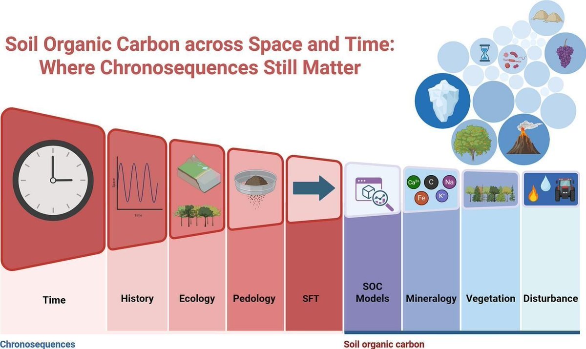 Geoderma - the global #OA journal of soil science tweet media