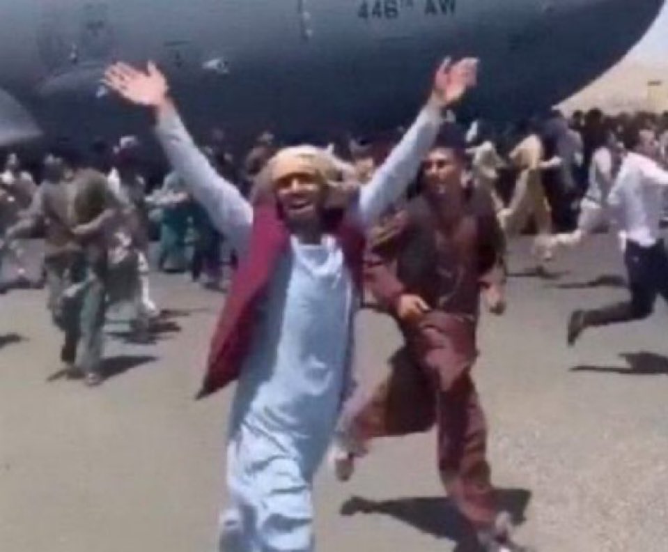 Paul Pb 🎻 tweet media