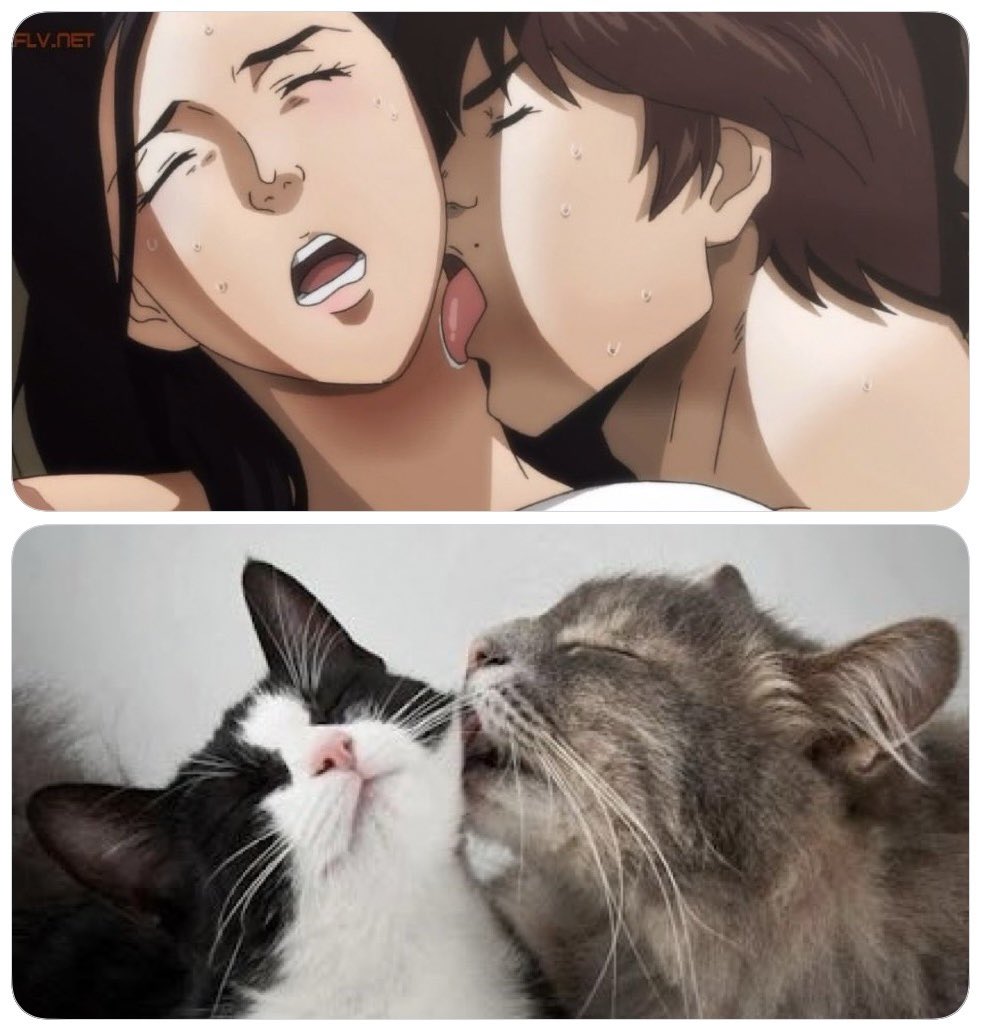 I can’t unsee it now…