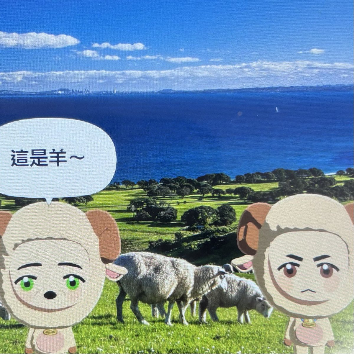 igabfeigmw's tweet photo. https://t.co/tYE6LrEjv4