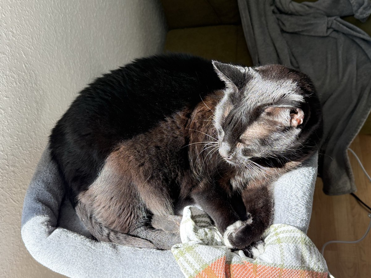 🌻 yona - bmi hater 🌻 tweet media