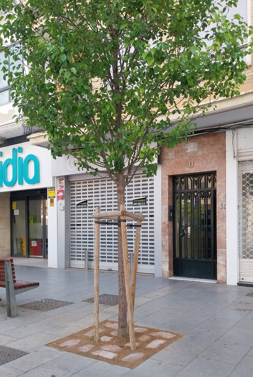 Compromís Catarroja tweet media