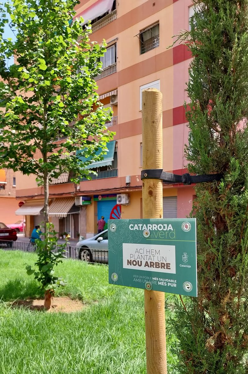 Compromís Catarroja tweet media