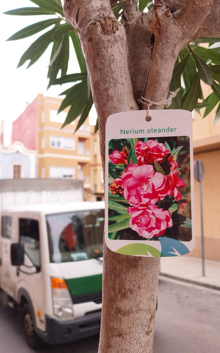 Compromís Catarroja tweet media