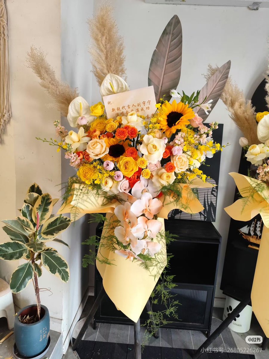 Annabelle Spells tweet media