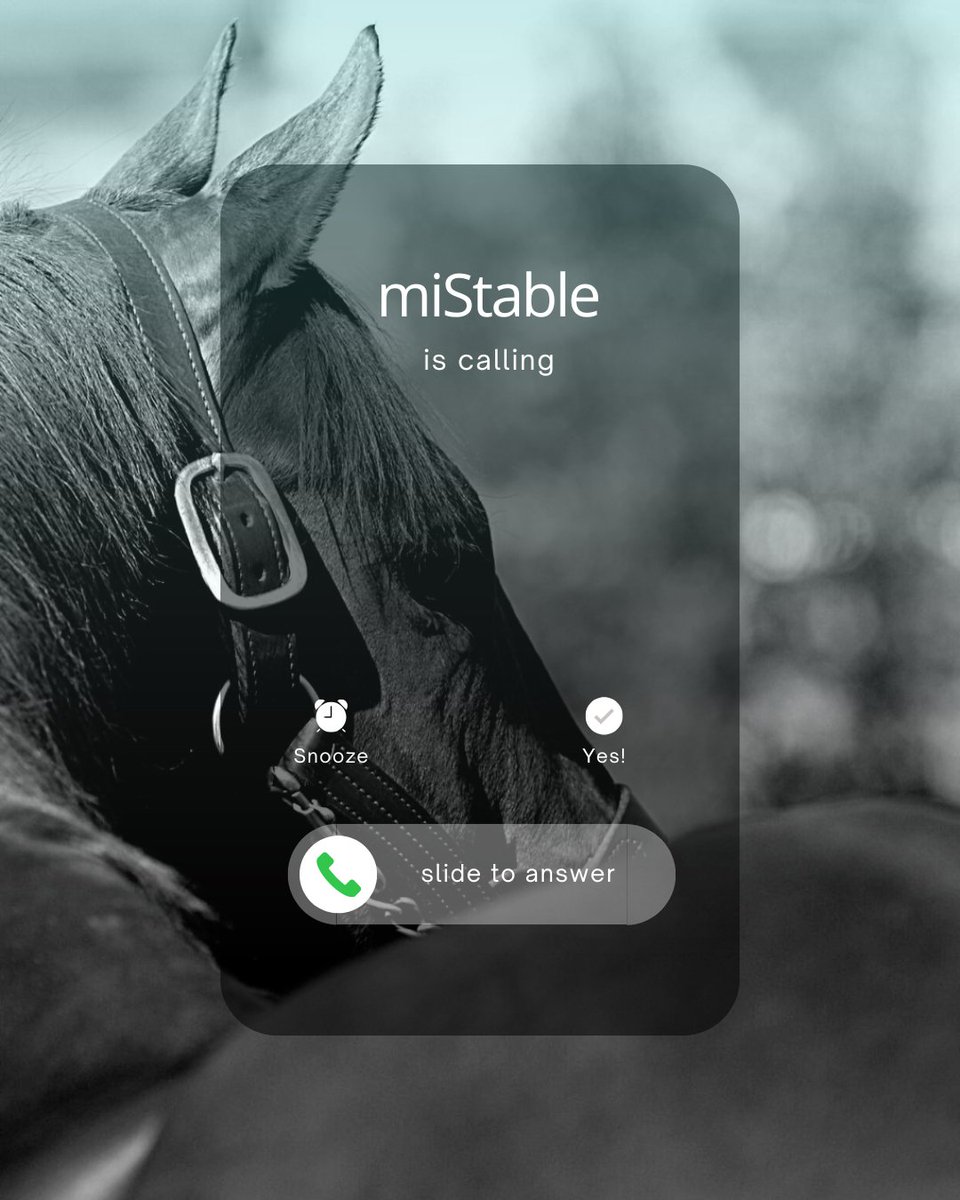 miStable tweet media