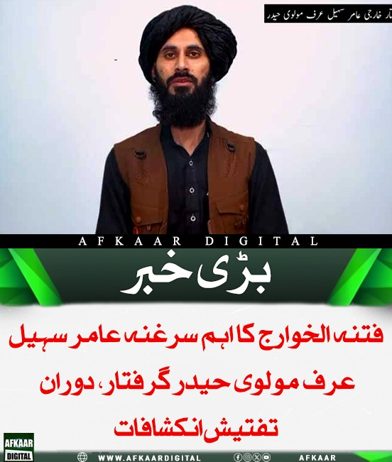 Afkaar_Digital's tweet image. سکیورٹی فورسز نے فتنہ الخوارج کے اہم سرغنہ عامر سہیل عرف مولوی حیدر کو گرفتار کرلیا، جس نے دورانِ تفتیش کئی اہم انکشافات کیے۔ اس نے افغانستان میں دہشتگردی کی تربیت حاصل کرنے اور پاکستان کے خلاف گمراہ کن پروپیگنڈے میں ملوث ہونے کا اعتراف کیا۔

 Pakistan #PakistanSecurity #Exposé
