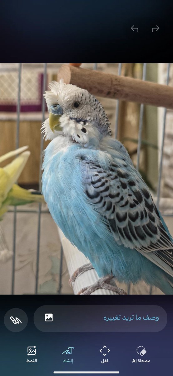 🅰️hmed tweet media