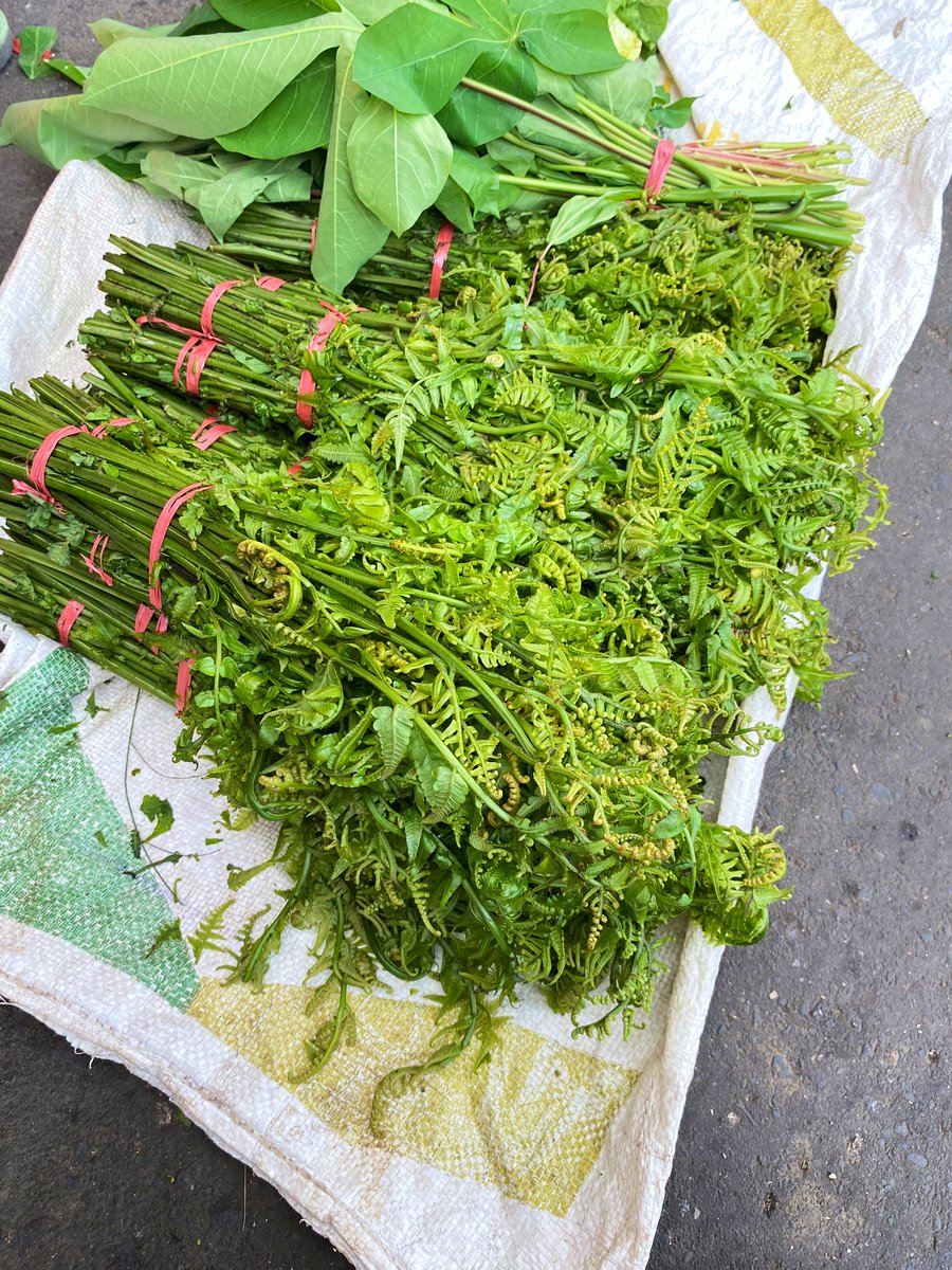 bubu miyo tweet media