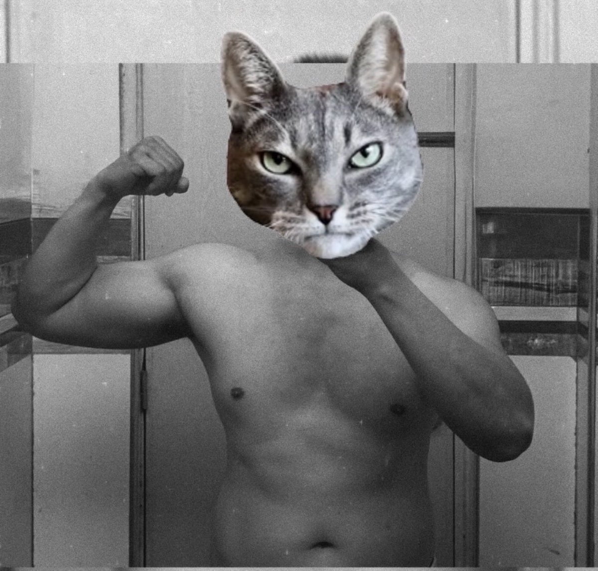 Ben Kansaw tweet media