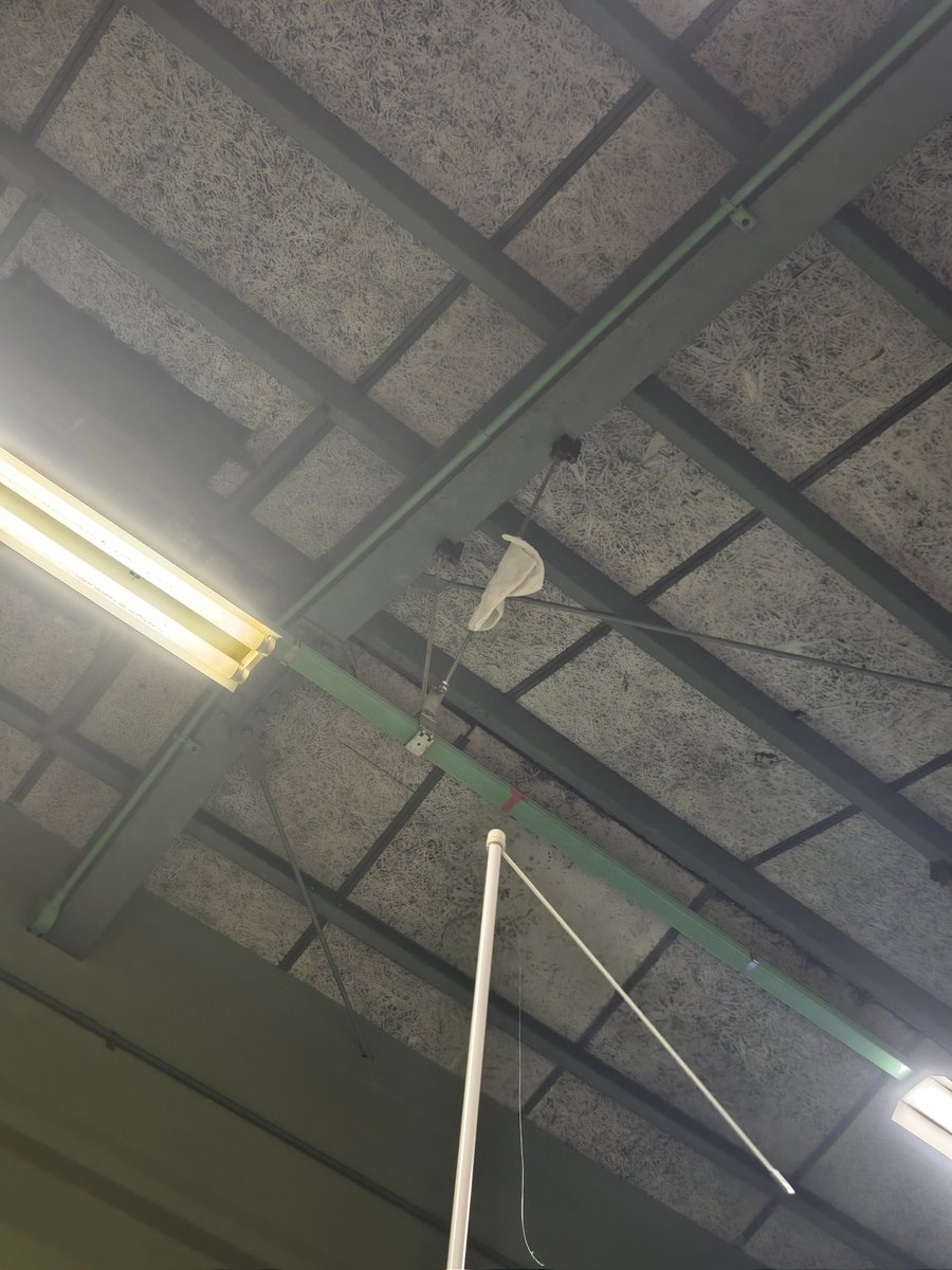 zukki.dxf tweet media