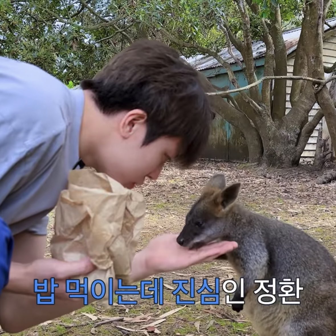 𝟭𝟲 tweet media