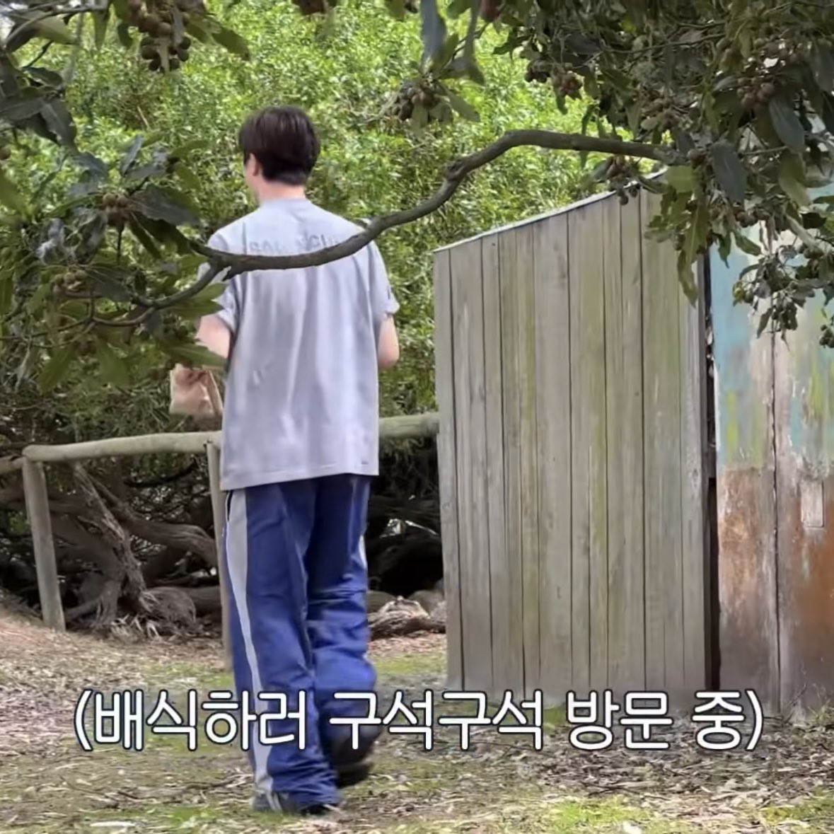 𝟭𝟲 tweet media