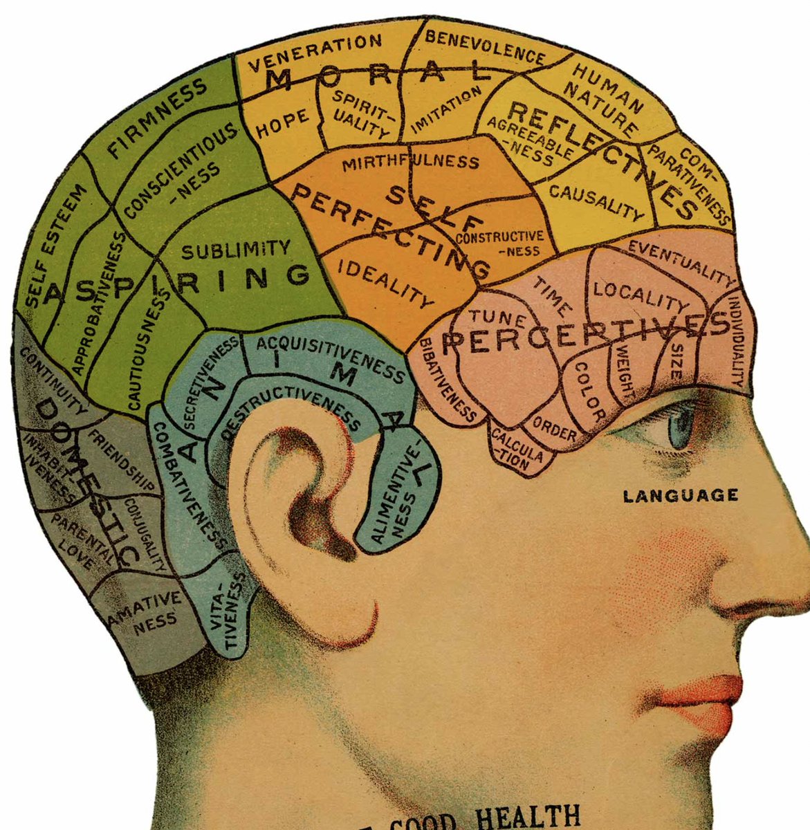 Semple Clarke tweet media