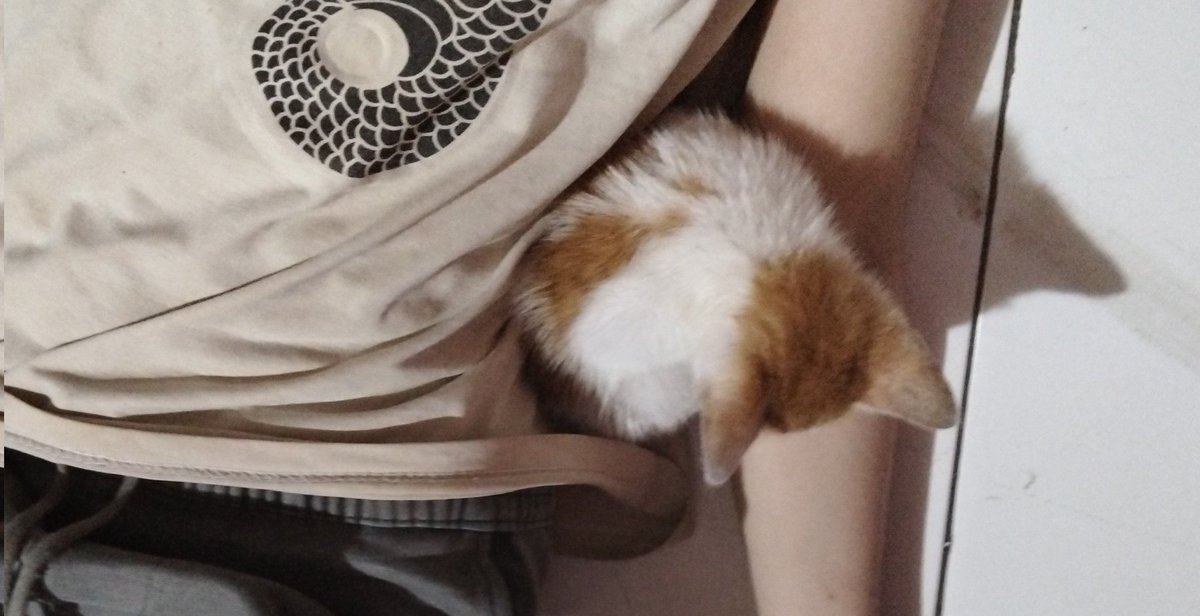 iram otw isiyk 26 tweet media