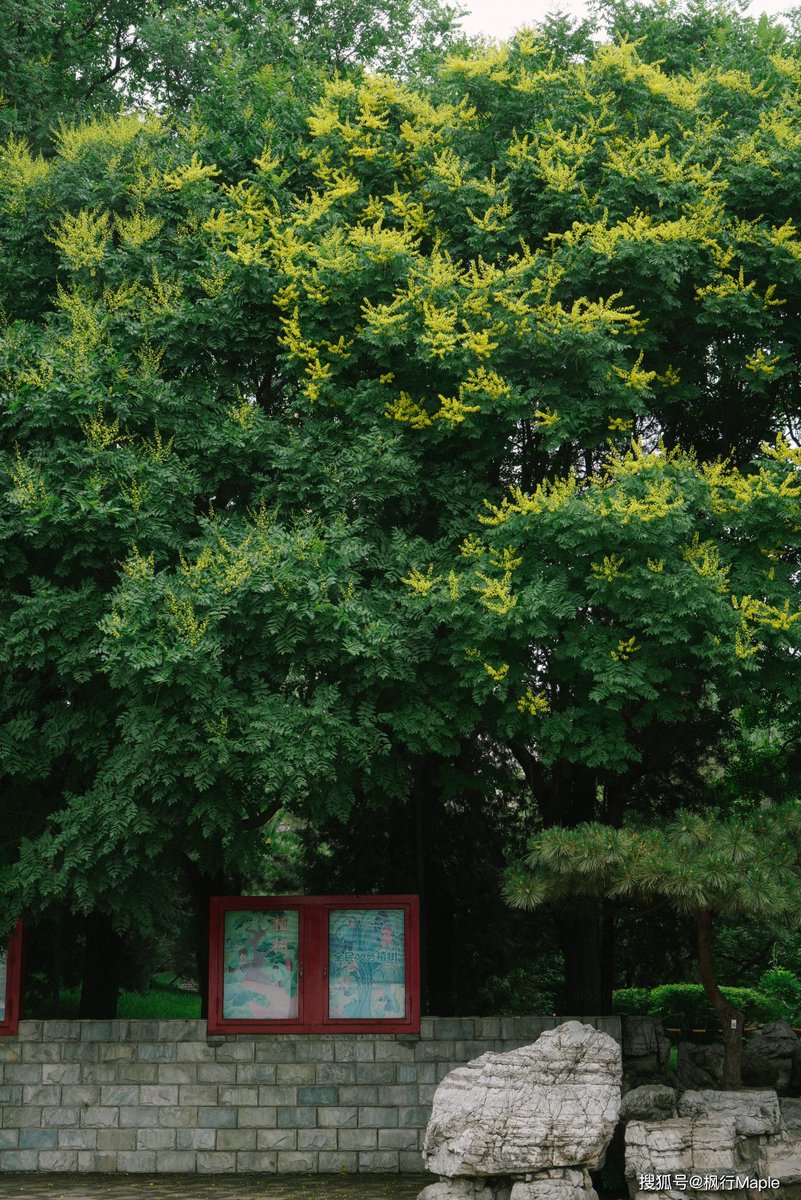 MAREENA x Chunji tweet media