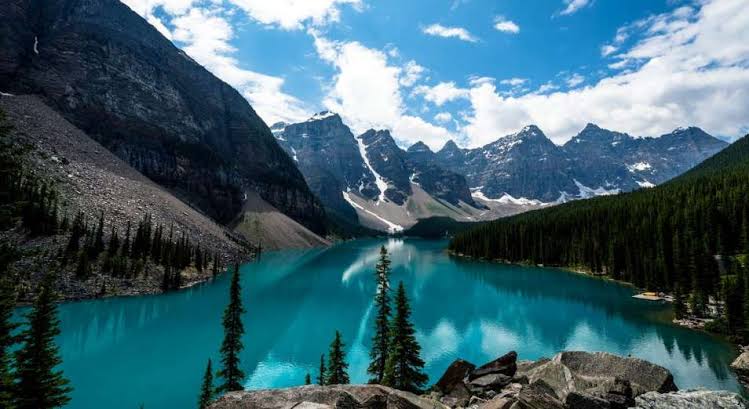 Lisa Singh tweet media