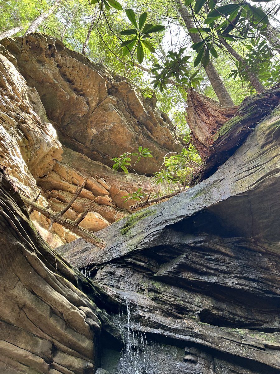 KC4UTIA's tweet image. Friday Photo @UTIAg #BigSouthFork #GetOutside