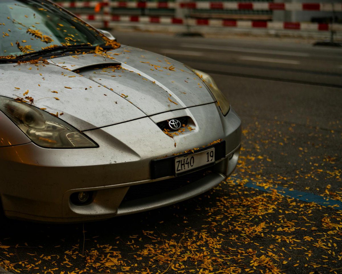 El otoño lo cubre todo poco a poco 🍁