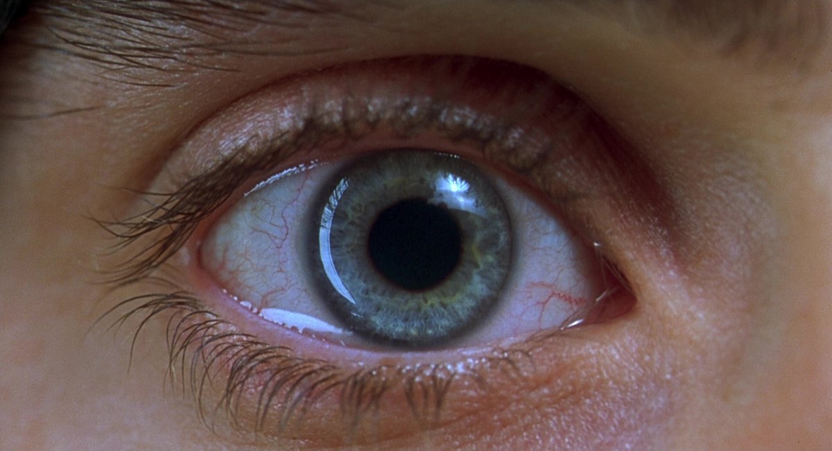 filmfr4me's tweet photo. Requiem for a Dream (2000)
director: Darren Aronofsky https://t.co/b5pTjhFBK2