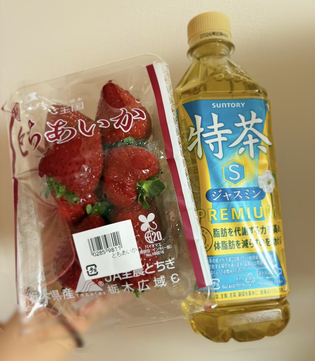 上原ぺこ@ロベスピエールありがとうございました tweet media