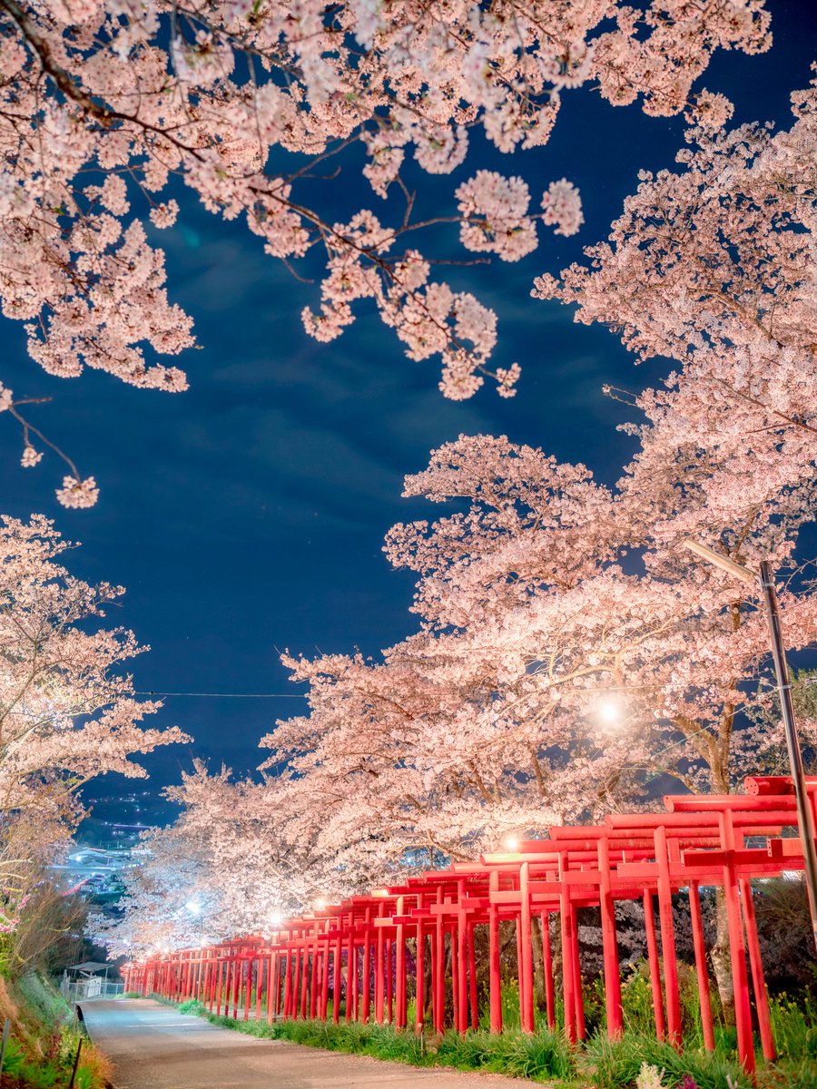 とうや tweet media