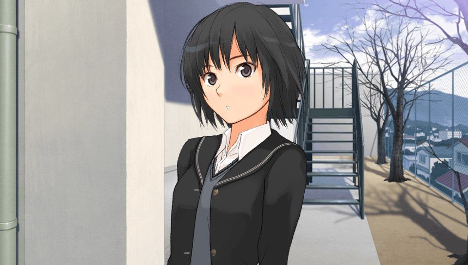 ねぎかも tweet media