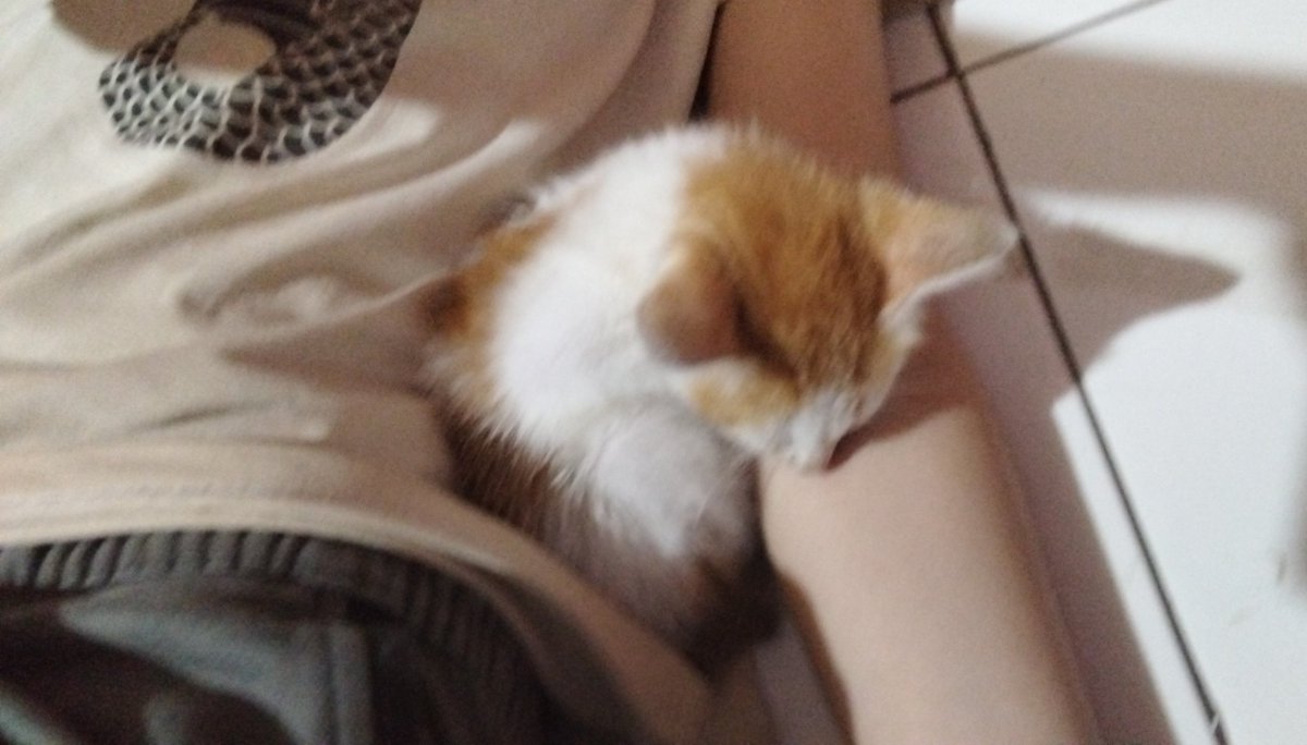 iram otw isiyk 26 tweet media