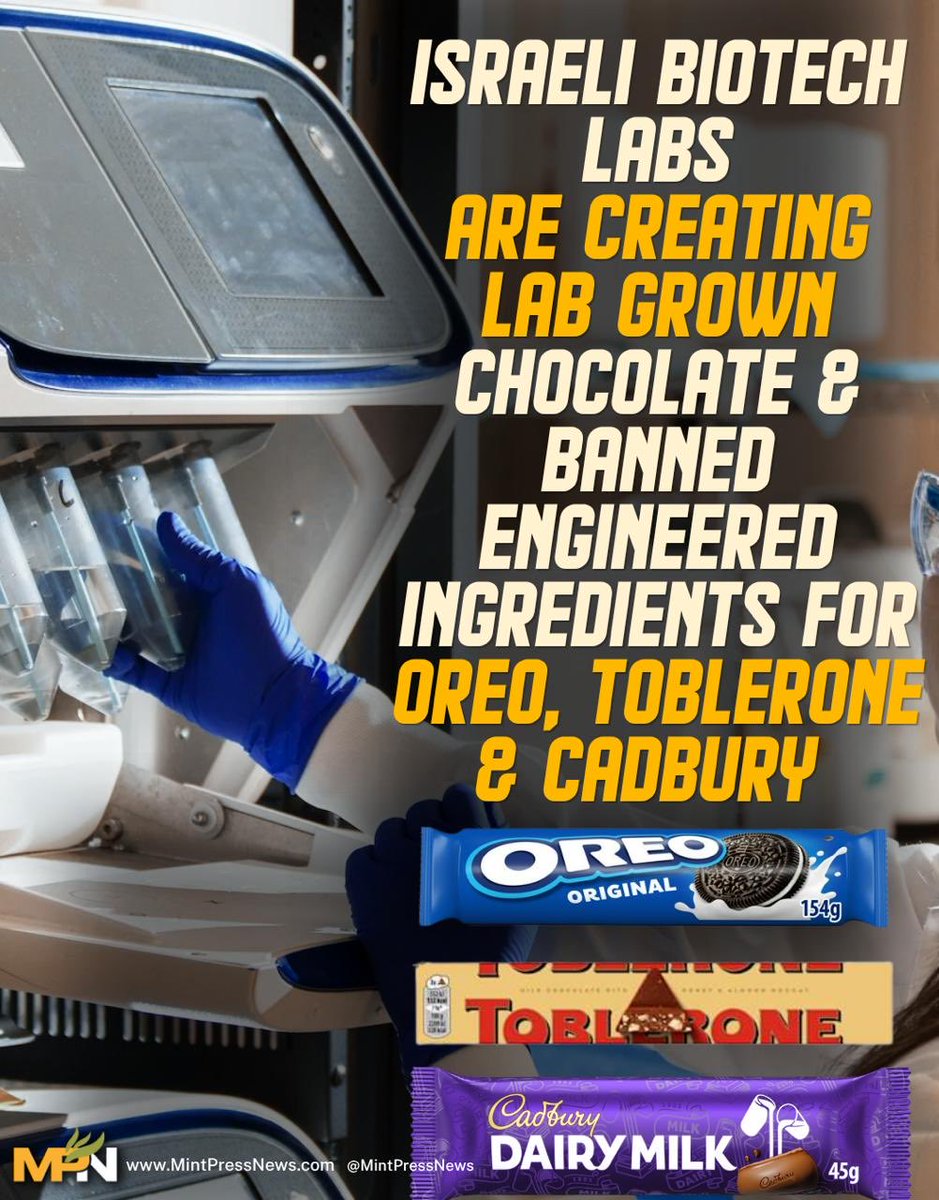 Gemma 🇵🇸🇵🇸🇵🇸 tweet media