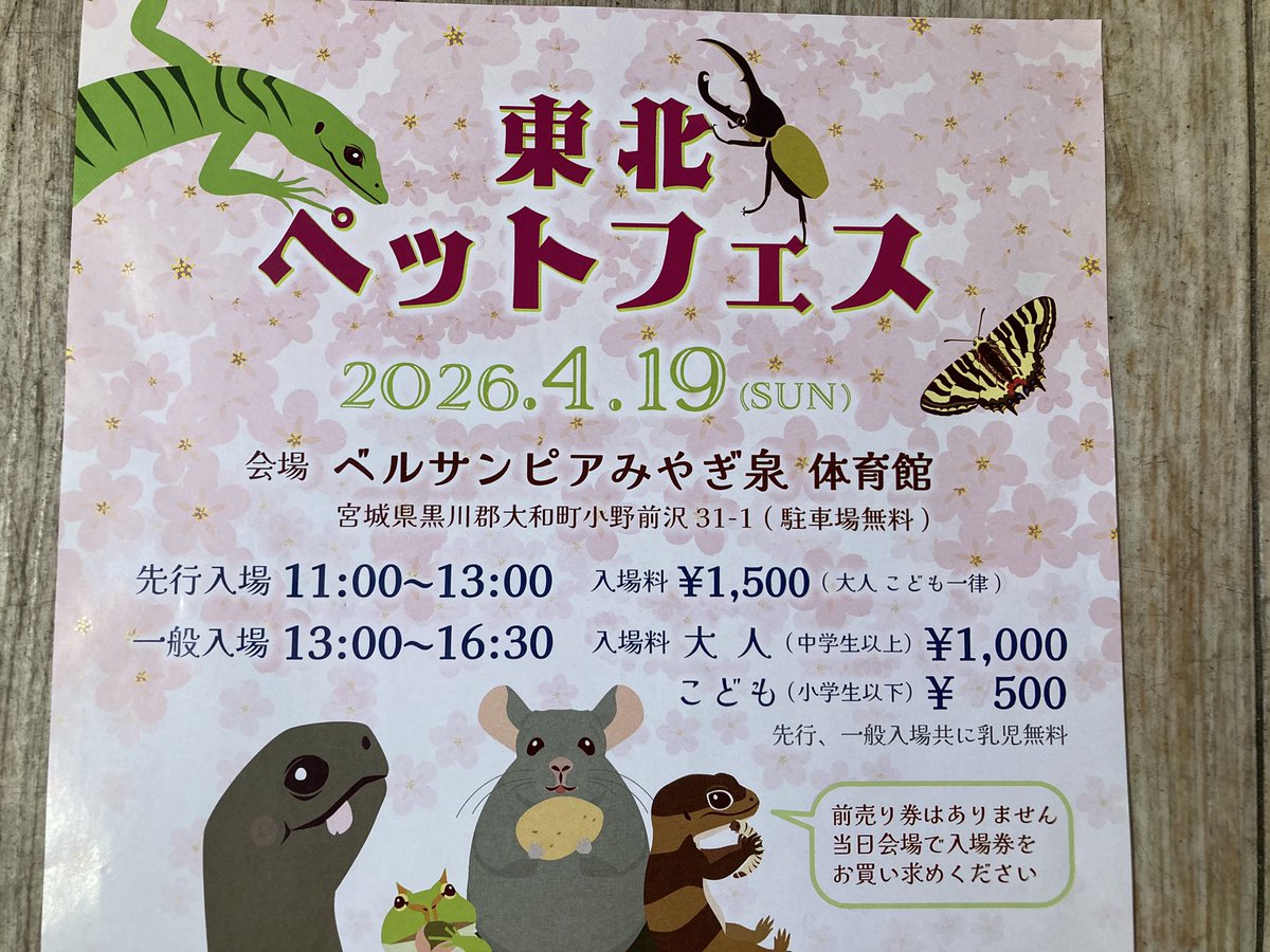 Aqua plus+ tweet media