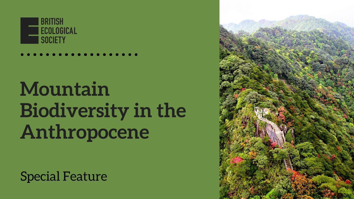 Journal of Ecology tweet media