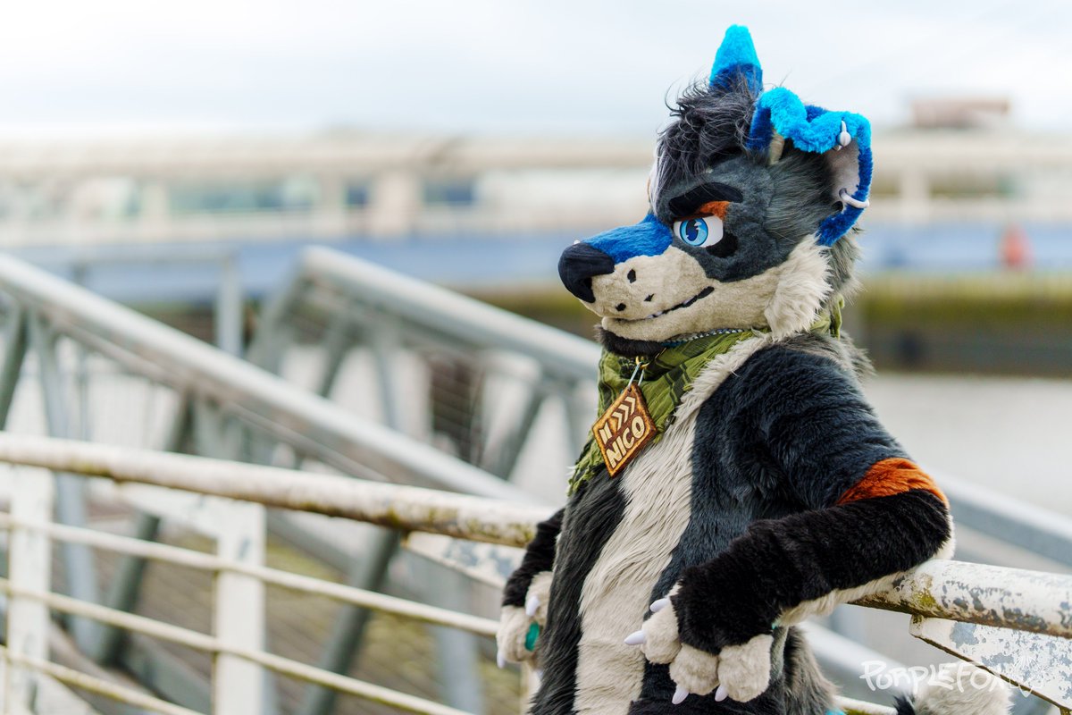 Cassius Crafts @ CFz Table C01 tweet media