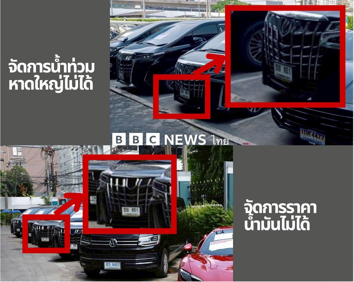 หมาป่า . tweet media