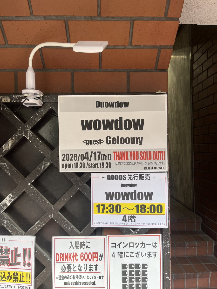 wowdow / 右往堂 tweet media