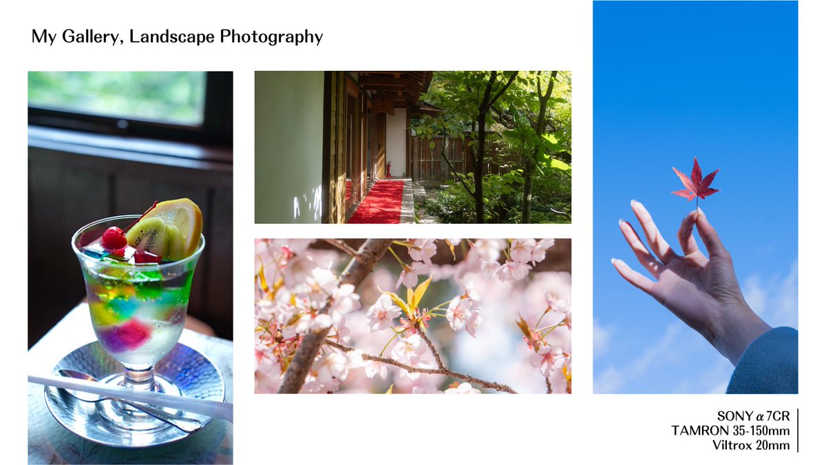 あうれあ tweet media