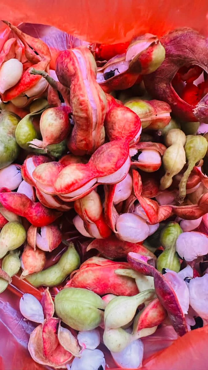 محمد 🖤💛 tweet media