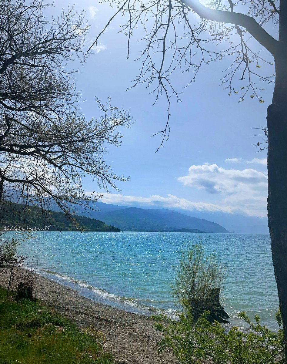 Happy Friday, my friends!