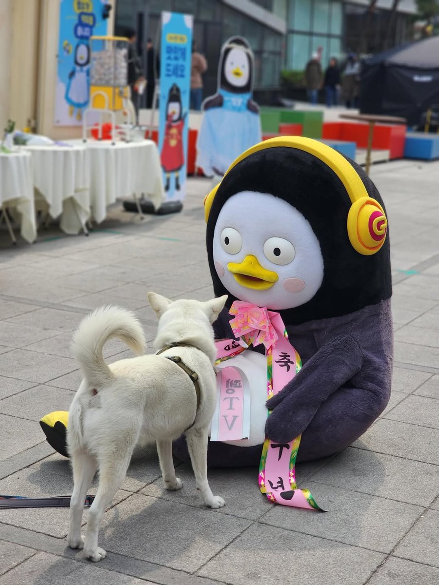 펭수 팬🐧 tweet media