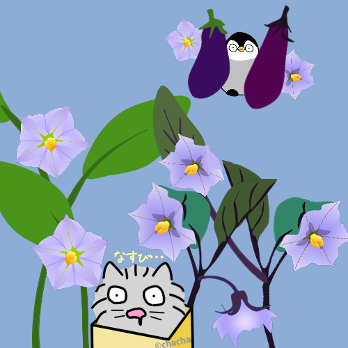 はこねこ tweet media