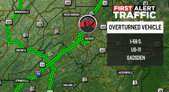 Destiny McKeiver tweet media